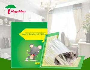 High Quality Disposable Mice Pest Paper Board Mouse Glue Trap