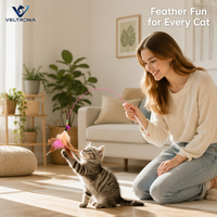 Baguette de chat en plumes arc-en-ciel avec fil d'acier haute élasticité, plumes naturelles, perles à clochettes, poignée ergonomique, jouet interactif manuel