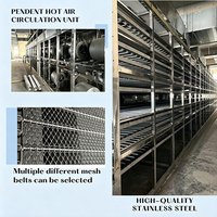 Langdurige levensduur banddroogmachine universele fruit- en groentedroger voor chili, fruit en groente co-verwerking
