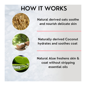<span class=keywords><strong>Parfum</strong></span> Vegan Marque Privée Gel Douche Écologique <span class=keywords><strong>Chiot</strong></span> Larmes Huile de Coco Shampooing Chat Chien - Product Image 4