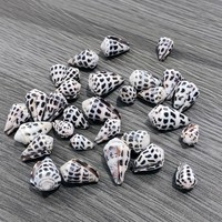 Coquillages en vrac naturels en gros, petits coquillages coniques hébraïques Conus Ebraeus XS, capuchons de perles, cadeau, décoration d'intérieur, forme géométrique