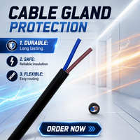 Câble d'alimentation souple RVV 2 conducteurs 1,0 mm² en PVC cuivre pour la connexion d'équipements électriques, le câblage de machines et l'alimentation électrique