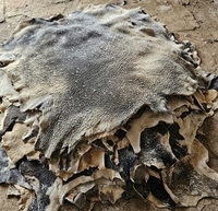 Kulit Sapi Mentah Berlapis Ganda Berkualitas Industri, Kulit Full Grain Vietnam untuk Furnitur, Sofa, Sepatu, Tas, Pakaian - Tannery