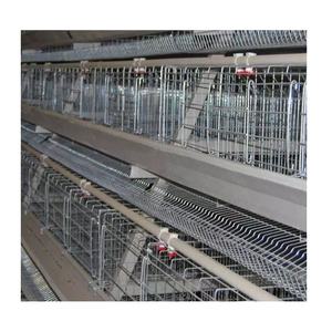 <span class=keywords><strong>Cage</strong></span> de ponte de poulet de type A pour l'élevage de volailles 3/4 niveaux avec une capacité de 96/128 nouvelles cages à poulet automatiques à usage domestique - Product Image 1