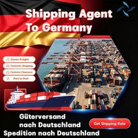 Agent de transport maritime Allemagne Port de Duisburg Service de suivi de colis express international Suivi d'expédition express