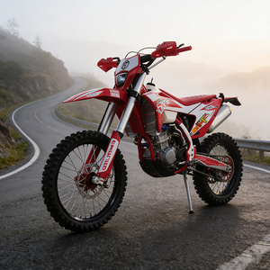 Motocicleta Todoterreno Roja a Gasolina, Motocross para Adultos, Diseño Estilo Yate y Aspecto Lujoso - Product Image 6