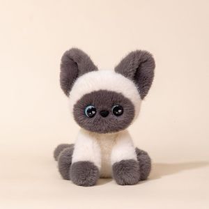 Gato de Peluche Personalizable con Diseño de Bandana, Agrega tu Logotipo, Adorable Muñeco de Gatito, Compañero para Escritorio y Cama - Product Image 6