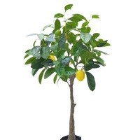 Citronnier artificiel, arbre fruitier en pot, plante verte pour la décoration intérieure de style nordique, affichage commercial pour la photographie