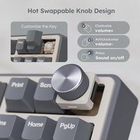 OEM ODM R87 Pro Wired Mechanical Keyboard with Hot Swappable Knob 75 RGB Backlit Gaming Keyboard 88 Keys TKL Gasket Mounted with