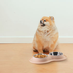 Mangeoire en acier inoxydable pour petit, moyen et grand chien avec tapis de nourriture en silicone antidérapant et anti-débordement Bols et mangeoires pour animaux de compagnie faciles à nettoyer - Product Image 5