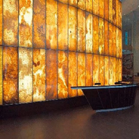 Dalles murales en granit soyeux doré naturel translucide de luxe pour la décoration intérieure et les halls d'entrée