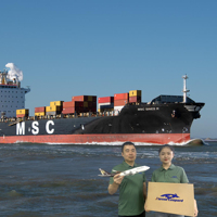 Échantillon Gratuit, Tarifs d'expédition logistique les moins chers, Service de messagerie Amazon porte-à-porte USA/Europe, Agent de fret maritime Chine, Transitaire