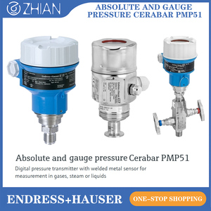 เครื่องวัดความดันแบบดิจิตอล Endress+Hauser PMP51, เซ็นเซอร์โลหะเชื่อมสำหรับการวัดก๊าซ - Product Image 1