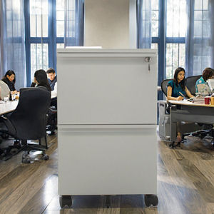 Armoire <span class=keywords><strong>de</strong></span> classement mobile moderne en métal à 2 tiroirs, vente en gros d'usine, pour l'école, l'hôtel et le bureau - Product Image 2