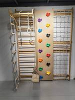 Structure d'escalade intérieure 9 en 1 pour enfants et adultes, mur d'escalade en bois, échelle suédoise