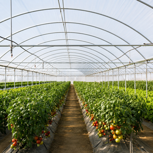 Lámina de Plástico para Invernadero Anti-Goteo, Cubierta de PE con Protección UV para Cultivo de Vegetales y Flores - Product Image 2