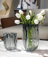 Fournisseurs vérifiés RYLAVA 2025 Nouveau vase en verre de luxe haut de gamme, vase hydroponique pour plantes, vase en verre nordique, vase pour la maison