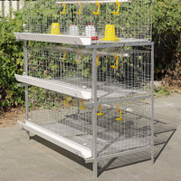 Meilleur Prix Cages à Poulets de Type H par Étage en Plastique pour Usage Domestique, Cages en Batterie pour Poulets de Chair