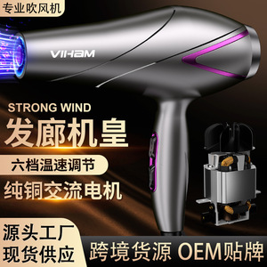Hair Dryer High Power AC Motor Ionic Cold Hot Wind Fast Drying Household Salon Use - Product Image 3