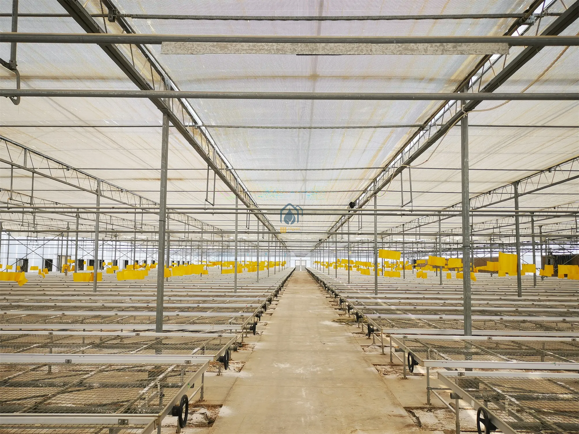 Hidroponik sistem çiftlik sera fiyat hydroponics büyümek sera tarım