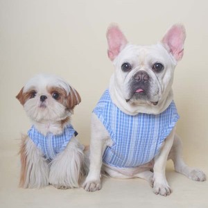 Vestido de Verano para Perro con Estampado Azul a Cuadros, Tela Transpirable y Delgada, Decoración de Perlas, Vestido de Princesa para Mascotas - Product Image 1