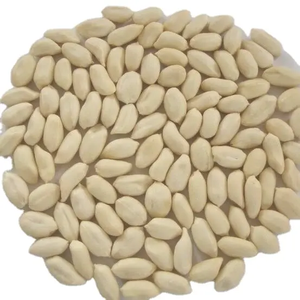 Arachides décortiquées du Shandong, qualité 3A, blanchies et séchées, qualité export, pour collation - Product Image 3