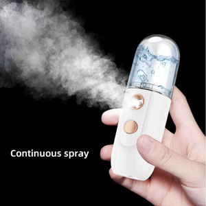 Wholesale 30ml Portable private label facial steamer handy electric fine water alcohol nano mist sprayer