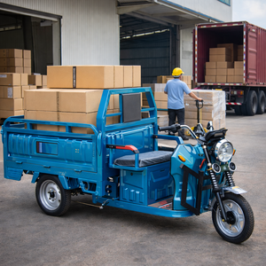 Venta Directa de Fábrica, Triciclo Eléctrico de Carga con Carrocería Abierta, Motor de 800W, Capacidad de Carga de 200-300 kg, Vehículo de <span class=keywords><strong>Transporte</strong></span> de Tres Ruedas para Adultos - Product Image 5