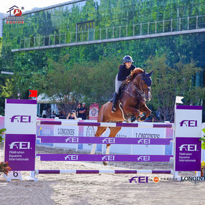 Ensemble d'obstacles <span class=keywords><strong>de</strong></span> saut pour chevaux portables pour les arènes intérieures et extérieures, pour la <span class=keywords><strong>pratique</strong></span> du saut d'obstacles - Product Image 2