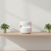 Diffuseur d'arômes en pierre de sel de l'Himalaya avec veilleuse décorative, diffuseur ultrasonique avec haut-parleur musical pour la maison, le bureau et le spa