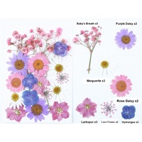 Kit de pressage de fleurs séchées avec 18-19 fleurs naturelles pour la création de marque-pages, accessoires photo, artisanat et décoration intérieure