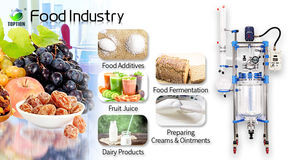 Le réacteur multifonctionnel en verre combine le chauffage, le refroidissement et l'agitation dans une unité - Product Image 2