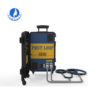 Dispositivo de Terapia Magnética PEMF de Doble Canal, Colchón Magnético Doble PEMF, Terapia de Pulsos Magnéticos para Humanos y Caballos - Product Image 1