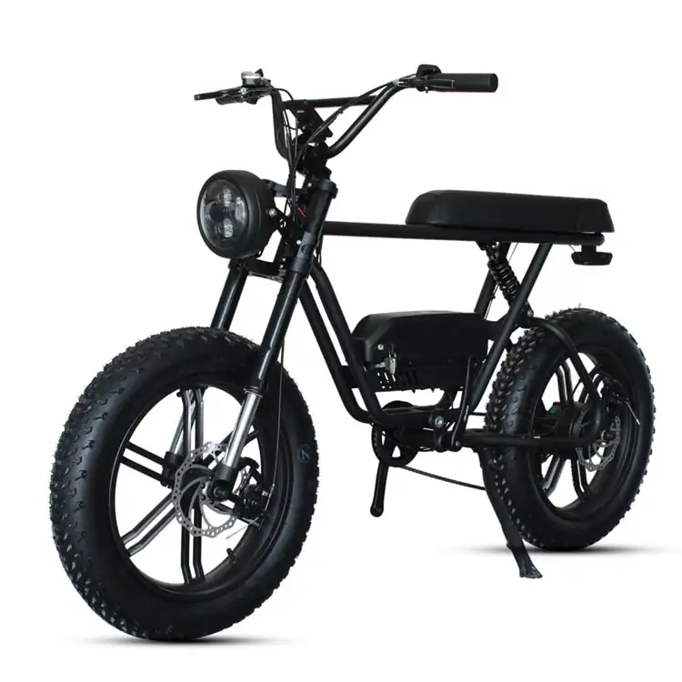 Çin ucuz Vintage 750w 1000w E bisiklet Ebike motorlu kir dağ yağ lastik katlama çin elektrikli bisiklet