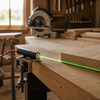 Modul Garis Laser Hijau 360 Derajat CE RoHS Keamanan Tinggi Baru 520nm 515nm 10mW 200mW 3D 4D Mesin Laser Level Self Leveling