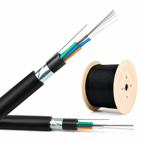 Câble à fibre optique extérieur GYTA blindé avec bande d'aluminium G.652D/G.657A1 pour réseau de télécommunications/FTTx/ISP