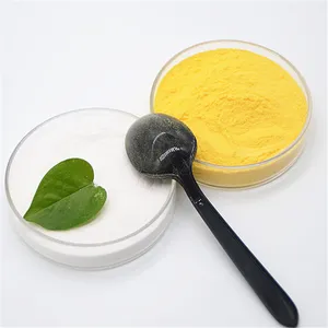 Good Price PAC Powder Decoloring Chemicals PAC for Water Treatment Industry