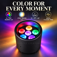 Projecteur LED sans fil DMX IP65 à piles pour événements de mariage, location, hôtels et banquets