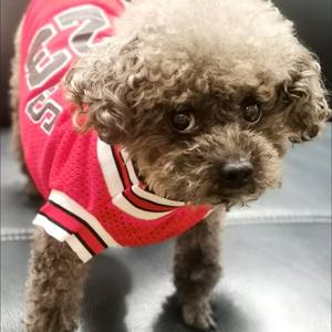 Ropa para Mascotas, Camiseta Deportiva de Baloncesto sin Mangas, Ecológica, de Poliéster, Refrescante para Verano, para Perros Grandes, Talla 6XL - Product Image 5