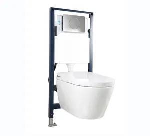 Factory Customized Ceramic Siphon 1 Piece Toilet Bowl Flush 1 Piece Intelligent Smart Toilet