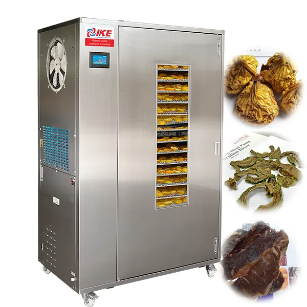 Profesyonel kaju peynir avokado incir kurutma makinesi IKE gıda kurutma makinesi