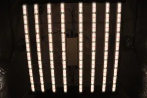 I più venduti Mega Eco 720W spettro completo ad alta resa commerciale coltiva la luce spedizione gratuita