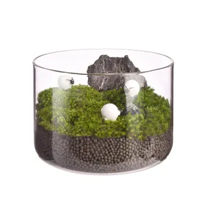 Micro Landscape Flower Vase Desk Topper Terrarium borosilicate Vases Round Ecological Bottle Plant Terrarium Office Moss Vases