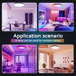 ไฟเพดาน Rgbcw บางเฉียบ 30W พร้อมสมาร์ทไวไฟและรีโมทคอนโทรล - Product Image 4