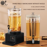Bouilloire Électrique en Acier Inoxydable pour Café et Thé avec Contrôle de Température, Infuseur Automatique, Percolateur à Café, Filtre et Refroidissement par Glace