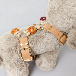 Conjunto de arnés y correa impermeable de PVC tweed para perros grandes y gatos, <span class=keywords><strong>paracord</strong></span> personalizado, conjunto de correa táctica de lujo para cachorros y mascotas - Product Image 5