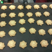 Machine à biscuits automatique longue ligne Fortune cooker