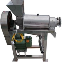 Fabrieksprijs Commerciële Industriële Appelpeer Wortel Kokosnoot Sap Maken Machine