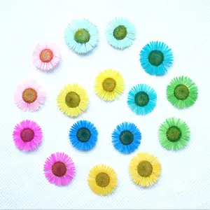 Hot Sale Small Mini Dry Flowers Natural Dried Needle Chrysanthemum Pretty Pressed Decoration And Plants Dried Flower For Resin
