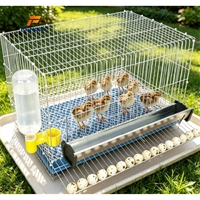 Enclos de collecte d'œufs portable tout-en-un pour poules pondeuses avec finition de surface anti-corrosion
